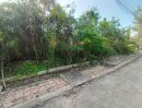 - ขาย ที่ดินเปล่า หมู่บ้านกฤษดานคร 27 สามพราน เนื้อที่ 100 ตร.ว. ใกล้มหาวิทยาลัยมหิดล ศาลายา ราคา 2.19 ล้านบาท