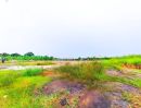 - ขายที่ดินนนทบุรีใกล้วัดคลองเจ๊กราคาถูกทำเลดีมาก