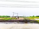- ขายที่ดินนนทบุรีใกล้วัดคลองเจ๊กราคาถูกทำเลดีมาก