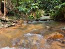  - ขายที่ดินติดน้ำตกเทพเสด็จห่างถนนหลัก 200เมตรพร้อมโอน