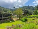  - ขายที่ดินติดน้ำตกเทพเสด็จห่างถนนหลัก 200เมตรพร้อมโอน