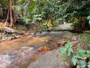  - ขายที่ดินติดน้ำตกเทพเสด็จห่างถนนหลัก 200เมตรพร้อมโอน