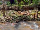  - ขายที่ดินติดน้ำตกเทพเสด็จห่างถนนหลัก 200เมตรพร้อมโอน
