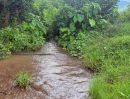 - ขายที่ดินติดลำธารน้ำเนินภูเขาวิวดอยบ้านหลวงจอมทองพร้อมโอน