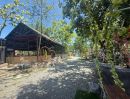 - ขายที่ดินมาบไผ่ 12 ไร่ ติดถนนคอนกรีต ใกล้โรบินสัน-7กม. อ.บ้านบึง ชลบุรี
