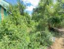  - ขายที่ดิน 133 ตร.วา ถนนศรีด่าน22 ถนนศรีนครินทร์ ใกล้รถไฟฟ้าสายสีเหลือง