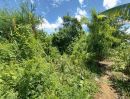  - ขายที่ดิน 133 ตร.วา ถนนศรีด่าน22 ถนนศรีนครินทร์ ใกล้รถไฟฟ้าสายสีเหลือง