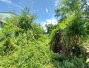  - ขายที่ดิน 133 ตร.วา ถนนศรีด่าน22 ถนนศรีนครินทร์ ใกล้รถไฟฟ้าสายสีเหลือง