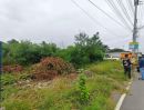- ขายที่ดินปทุมธานีบางหลวงราคาถูกทำเลดีมาก