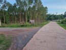- ขายที่ดินบ้านดุง อุดรธานี ห่างถนนหลวง ชนบท 4002 เพียง 200 เมตร