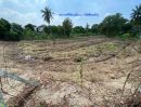  - ขายที่ดิน 600 ตร.ว. หน้ากว้าง 31 ม. บางใหญ่-บางคูลัด ใกล้ รพ.บางใหญ่ และ M81 โฉนดครุฑแดง เหมาะพัฒนาโครงการและลงทุนระยะยาว