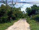 - ที่ดินถมทั้งผืนไร่กว่าใกล้ถนนเมน 70 เมตร เหมาะทั้งสร้างบ้านและโกดังเป็นส่วนตัวอยู่ใกล้ชุมชน