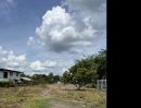 - ที่ดินถมทั้งผืนไร่กว่าใกล้ถนนเมน 70 เมตร เหมาะทั้งสร้างบ้านและโกดังเป็นส่วนตัวอยู่ใกล้ชุมชน