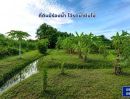 - ขายที่ดินถมแล้ว 2-0-01ไร่ โครงการ Wellness City (เวลเนสซิตี้) เพื่อการพักวัยเกษียณ ใกล้ถนนปทุมธานี-สามโคก-เสนา (ทล.3111)อ.บางไทร จ.อยุธยา