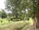 - ที่ดินติดคลองมีน้ำตลอดปี เห็นวิวเขาทอดยาวสวยบรรยากาศดีใกล้แหล่งท่องเที่ยว เหมาะบ้านสวน รีสอร์ท คาเฟ่ พูลวิลล่า