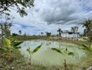 - ที่ดินพร้อมบ้านสวน วิวทุ่งนา ไม่เปลี่ยวมีเพื่อนบ้าน