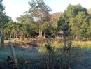 - ขายบ้านหลังติดเขา ต.เขาขลุง อ.บ้านโป่ง จ.ราชบุรี