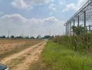  - ขาย] ที่ดินถมแล้วผืนใหญ่ 48 ไร่เศษ ลำลูกกา คลอง 14 ปทุมธานี พร้อมโครงสร้างและใบอนุญาตคลังสินค้า 3,000 ตร.ม. ใกล้ Reinwood Park