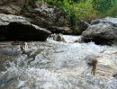  - ขายที่ดินติดลำธารน้ำตำบลฮอดหางดงโฉนดพร้อมโอน