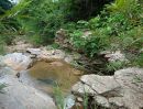  - ขายที่ดินติดลำธารน้ำตำบลฮอดหางดงโฉนดพร้อมโอน
