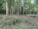 - ที่สวนแถวตำบลสะลวง แม่ริม ร่มรื่น ถมแล้ว หน้ากว้างๆ ติดถนน ไฟฟ้า และน้ำประปาถึงเนื้อที่โฉนด 1 ไร่ เพียง 1 ล้าน