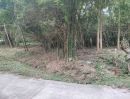 - ที่สวนแถวตำบลสะลวง แม่ริม ร่มรื่น ถมแล้ว หน้ากว้างๆ ติดถนน ไฟฟ้า และน้ำประปาถึงเนื้อที่โฉนด 1 ไร่ เพียง 1 ล้าน