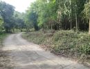 - ที่สวนแถวตำบลสะลวง แม่ริม ร่มรื่น ถมแล้ว หน้ากว้างๆ ติดถนน ไฟฟ้า และน้ำประปาถึงเนื้อที่โฉนด 1 ไร่ เพียง 1 ล้าน
