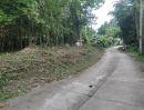 - ที่สวนแถวตำบลสะลวง แม่ริม ร่มรื่น ถมแล้ว หน้ากว้างๆ ติดถนน ไฟฟ้า และน้ำประปาถึงเนื้อที่โฉนด 1 ไร่ เพียง 1 ล้าน