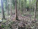 - ที่สวนแถวตำบลสะลวง แม่ริม ร่มรื่น ถมแล้ว หน้ากว้างๆ ติดถนน ไฟฟ้า และน้ำประปาถึงเนื้อที่โฉนด 1 ไร่ เพียง 1 ล้าน