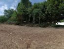 - ที่ดิน 211.9 ตร.วา ในตัวเมืองขอนแก่น (ทำเลดี)