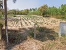 - ขายที่ดินหนองกี่ 3 ไร่ ติดถนนคอนกรีต ใกล้ถนนเส้น304-3กม. อ.กบิทร์บุรี ปราจีนบุรี