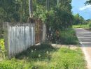 - ขายที่ดินหนองกี่ 3 ไร่ ติดถนนคอนกรีต ใกล้ถนนเส้น304-3กม. อ.กบิทร์บุรี ปราจีนบุรี