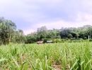  - ที่ดินเปล่า แปลงสวย มีแหล่งน้ำ ใกล้ถนนสายหลัก อุตรดิตถ์