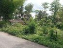  - ขายที่ดินบ้านขัวโกสันผีเสื้อลลติดถนนสองด้านพร้อมโอน