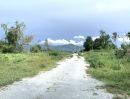  - ขายที่ดินในเมืองชลบุรี บ้านสวน/นาป่า เนื้อที่ 8ไร่ ใกล้ถนนบายพาสเลี่ยงเมืองชลบุรี ห่างจากถนนเลี่ยงเมืองชลบุรี 800เมตร