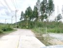  - ขายที่ดินใกล้ถนนข้าวหลาม แบ่งขาย 6ไร่ ติดทาง 2ด้าน 50x180ม.ตรงข้ามโรงเรียนสารสาสน์วิเทศบูรพา ที่ดินเข้า-ออกได้หลายทาง (ทั้งหมด 16ไร่)
