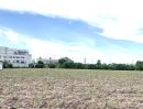  - ขายที่ดินใกล้ถนนข้าวหลาม แบ่งขาย 6ไร่ ติดทาง 2ด้าน 50x180ม.ตรงข้ามโรงเรียนสารสาสน์วิเทศบูรพา ที่ดินเข้า-ออกได้หลายทาง (ทั้งหมด 16ไร่)
