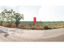 - ขายที่ดินเปล่า ตำบลหนองโพรง อำเภอศรีมหาโพธิ จังหวัดปราจีนบุรี