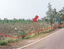 - ขายที่ดินเปล่า ตำบลหนองโพรง อำเภอศรีมหาโพธิ จังหวัดปราจีนบุรี