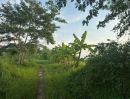  - ขายที่ดินสวย บ้านร้องขี้เหล็ก ติดถนน ติดน้ำไหลตลอดปี ทำเลศักยภาพสูง (วงแหวนรอบ 4 ตัดผ่านที่ดิน)