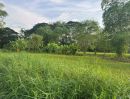  - ขายที่ดินสวย บ้านร้องขี้เหล็ก ติดถนน ติดน้ำไหลตลอดปี ทำเลศักยภาพสูง (วงแหวนรอบ 4 ตัดผ่านที่ดิน)