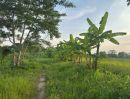  - ขายที่ดินสวย บ้านร้องขี้เหล็ก ติดถนน ติดน้ำไหลตลอดปี ทำเลศักยภาพสูง (วงแหวนรอบ 4 ตัดผ่านที่ดิน)