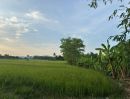  - ขายที่ดินสวย บ้านร้องขี้เหล็ก ติดถนน ติดน้ำไหลตลอดปี ทำเลศักยภาพสูง (วงแหวนรอบ 4 ตัดผ่านที่ดิน)