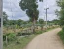  - ขายที่สวนอินทผลัมตำบลน้ำแพร่หางดงโฉนดพร้อมโอน