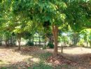 - ขายที่ดินพร้อมบ้าน และสวน ใกล้ ม.เกษตรกำแพงแสน