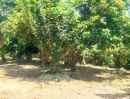 - ขายที่ดินพร้อมบ้าน และสวน ใกล้ ม.เกษตรกำแพงแสน