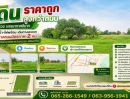 - ที่ดินราคาถูก สูงกว่าถนน แปลงสวย บรรยากาศดีมาก น้ำ-ไฟพร้อม เดินทางสะดวกห่างถนนมิตรภาพ 2กม. เขตอำเภอเขาสวนกวาง ขอนแก่น
