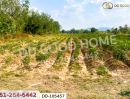  - ที่ดินด่านมะขามเตี้ย 4 ไร่ 399.7 ตร.ว. กาญจนบุรี ใกล้โรงพยาบาลด่านมะขามเตี้ย