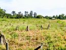  - ที่ดินในเขตเทศบาลนางรอง อ.นางรอง บุรีรัมย์