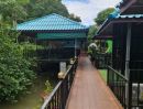  - ขายถูกมาก!! กิจการร้านอาหาร ร้านสวย บรรยากาศดี ทำเลทอง อ.ครบุรี โคราช ติดกรมป่าไม้ ทำธุรกิจต่อได้ทันที